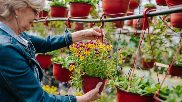 Resident shopping for flowers